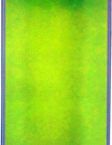 Glaslins med tejp (vit) till iPhone 5/5S/5C